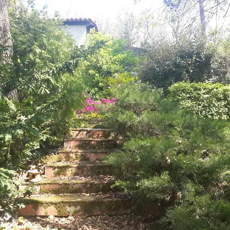 Panzió 